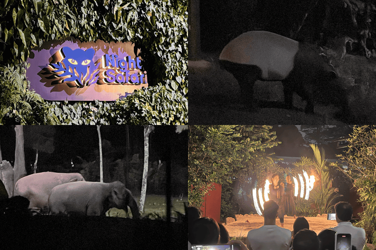 新加坡快閃三天兩夜,行程安排、總花費分享,推薦平價住宿 - 第4張圖 新加坡自由行
